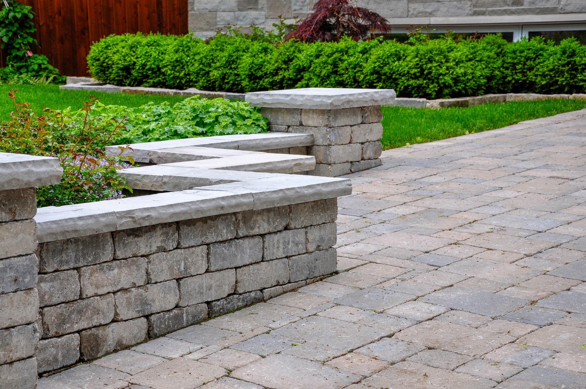 Stone retaining walls frame a lush garden, showcasing green foliage and neatly arranged pavers. Ideal for landscaping design inspiration.